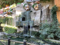 -南宫五洲植物乐园