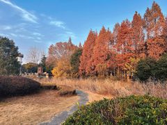 -蠡湖中央公园