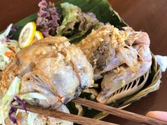 -茉莉.Red Crab