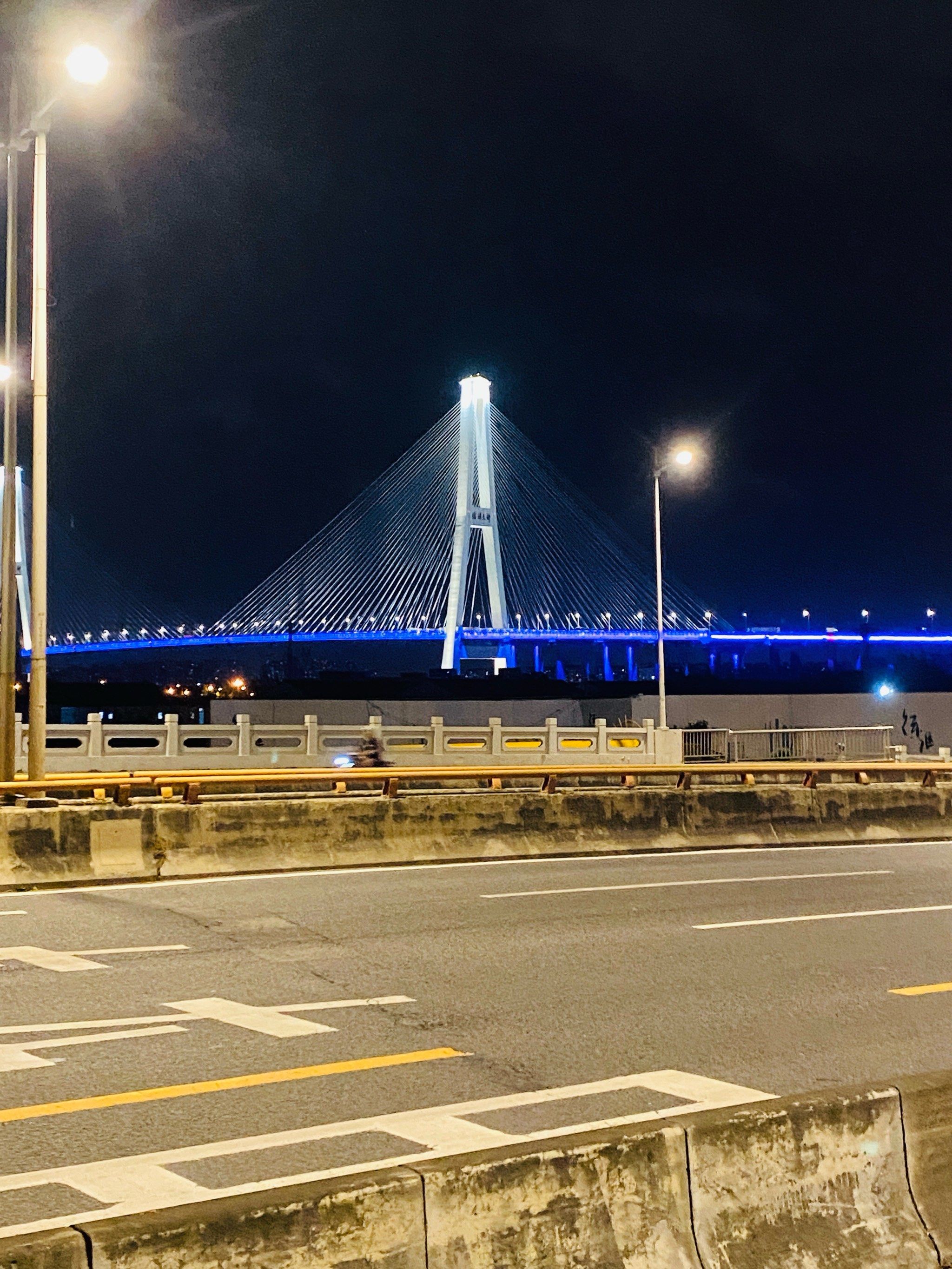 江边美景 晚上🌃下班随手拍几张徐浦大桥,真的好美哎