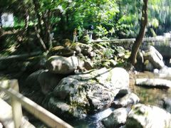 -白云源风景区