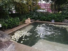 -郑州银基黄帝宫御温泉