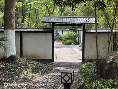 -新洲生态园