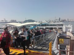 -建华生态湿地百荷园