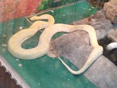 -上海大自然野生昆虫馆