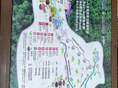 -野象谷景区