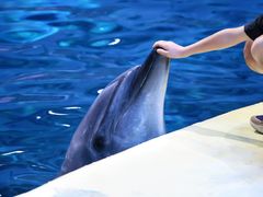 -福州罗源湾海洋世界旅游区