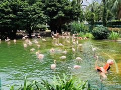 -九龙公园