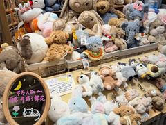 -猫的天空之城概念书店(苏州平江店)