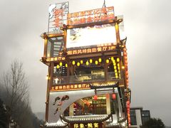 -印象鲵宴·张家界地标美食名片(溪布街店)