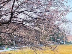 -国际非物质文化遗产博览园