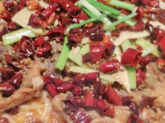 -老板恋上鱼(恒隆广场店)