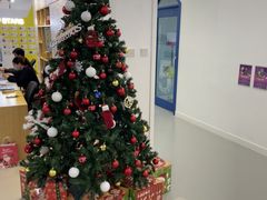 -英孚教育青少儿(河东中心)