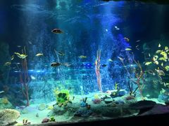 -沈阳海洋探索中心