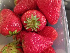 -叶氏兄弟果业(大连鲁迅店)