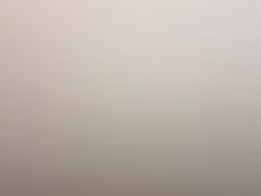 -东北小板凳地摊烧烤(泰来街店)