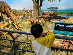 -国家自然博物馆