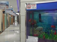 -雅悦齿科(顾村公园店)