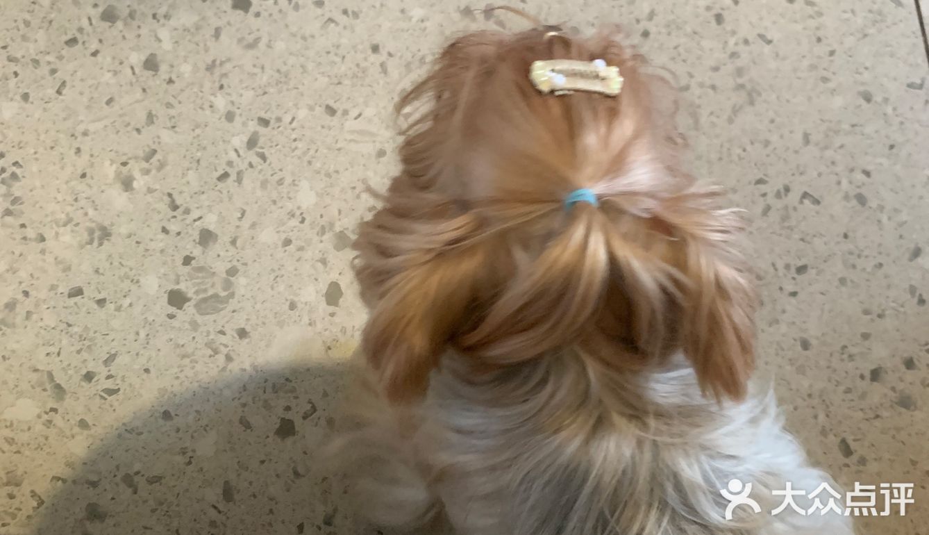 又是一家满分咖啡店