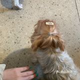 又是一家满分咖啡店