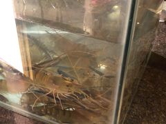 堂灼虾-广州花园酒店-凌璇阁360度高空海鲜自助餐CAROUSEL