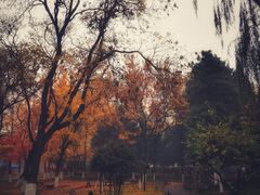 -云岗森林公园
