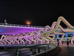 -演武大桥观景平台