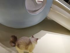 -中海环宇荟