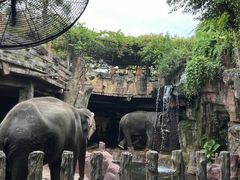 -长鹿旅游休博园