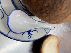 原只椰子炖走地鸡-達揚原味燉品(文明路店)