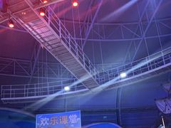 -烟台海昌鲸鲨海洋公园