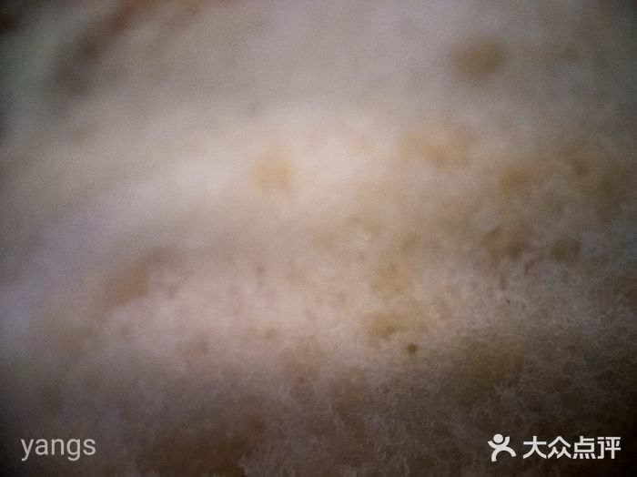 德宏记·茶餐厅(新辰里学清路店)冰火菠萝油图片