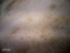 冰火菠萝油-德宏记·茶餐厅(新辰里学清路店)