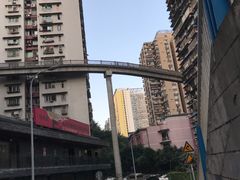 -一只酸奶牛(八一路店)