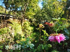 -水峪民俗村