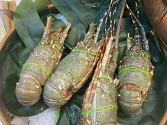 -半岛听涛蒸汽海鲜自助(K11店)