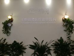 -碧莲盛·不剃发植发