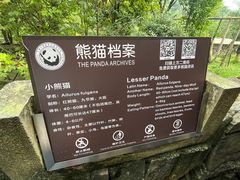 -都江堰中华大熊猫苑