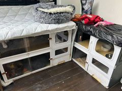 -老地方猫儿面(磁器口店)