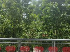 -顺德佬(石厦店)
