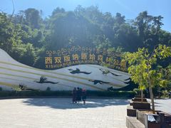 -西双版纳原始森林公园