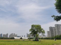 -山明水秀大饭店