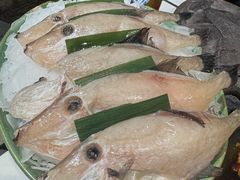 -朱光玉火锅馆(全国总店·金冠好店)