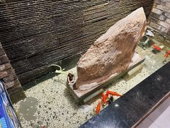-巢湖名吃·东关老鹅汤(江南风情街店)
