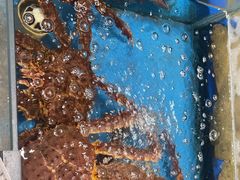 -映像威海·海鲜味道(经区店)