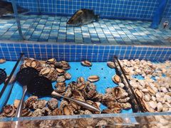 -蓝钻·国际美食海鲜自助百汇(西直门店)