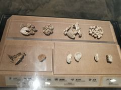 -烟台市博物馆