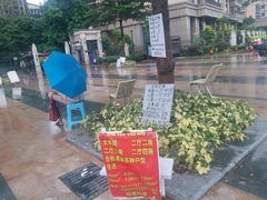 -潭村(地铁站)