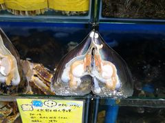 -蚝专家(北滘店)