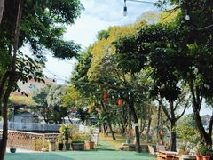 -陶缘一号·四季缘·老字号顺德菜·户外婚礼家宴(西滘店)